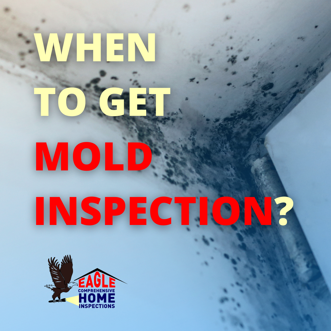 When To Get A Mold Inspection Eagle Comprehensive Home Inspection